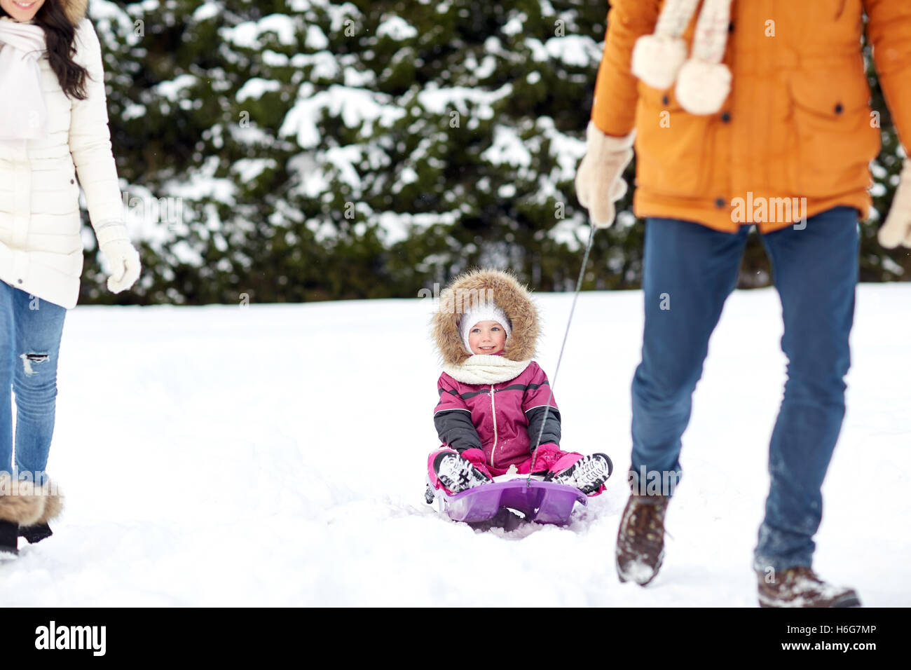happy family with sled walking in winter forest Stock Photo - Alamy