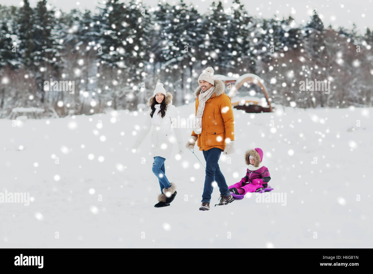 happy family with sled walking in winter forest Stock Photo - Alamy