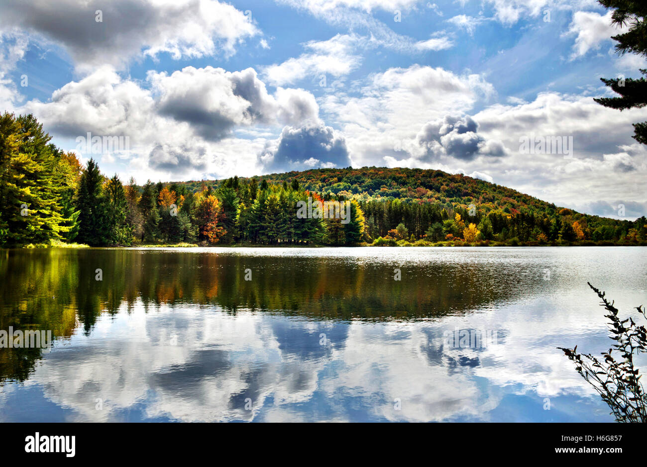 Fall lake reflection at Aqua Terra Park in Binghamton, Broome County Stock Photo 124518163 Alamy