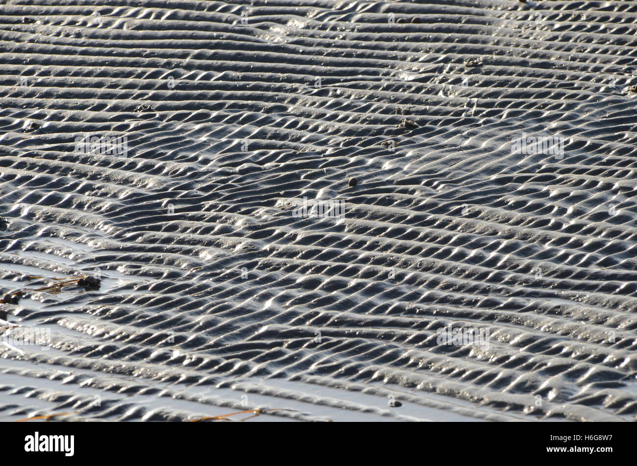 Sand ripples at low tide Stock Photo