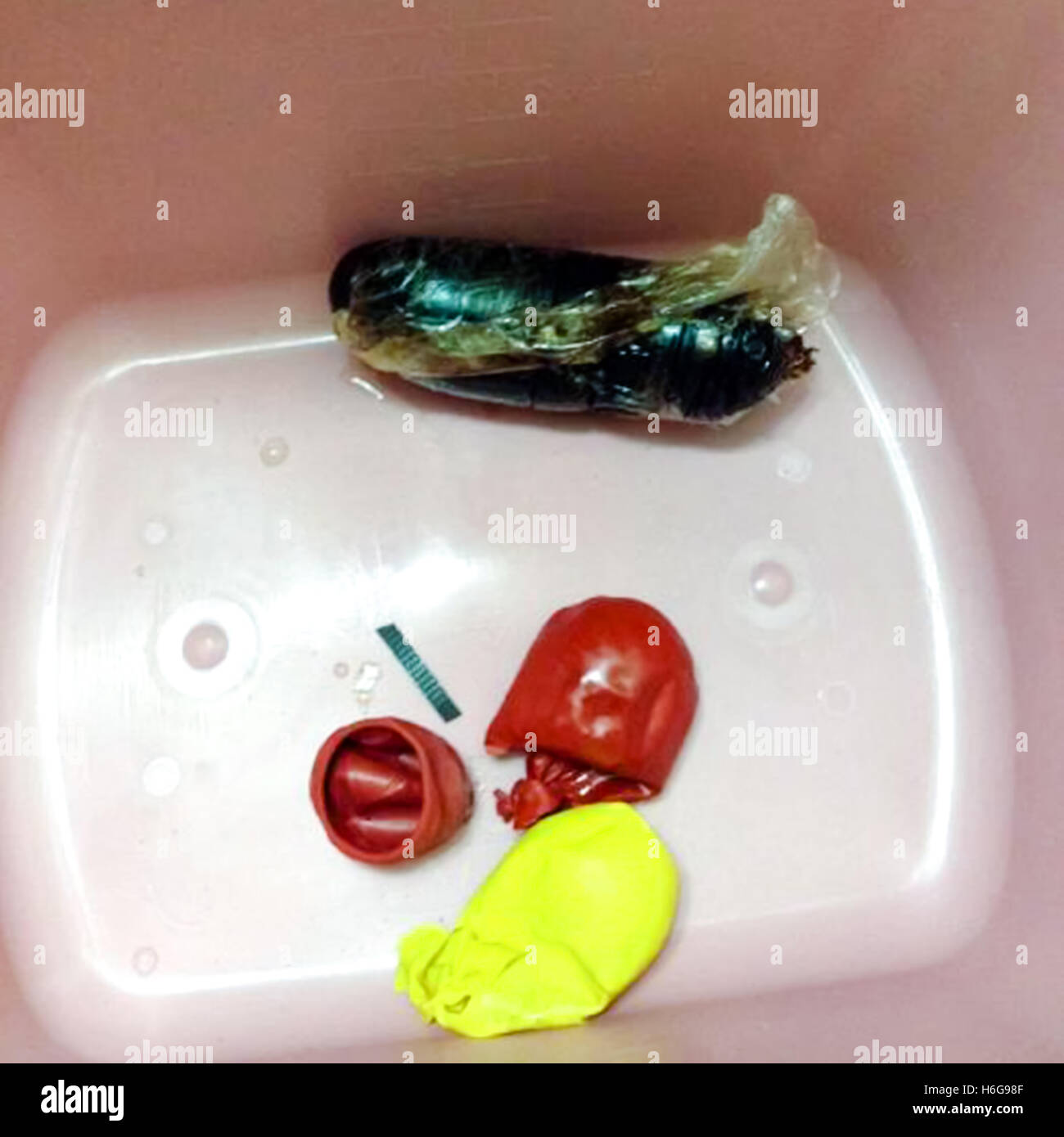 Drug mule hires stock photography and images Alamy