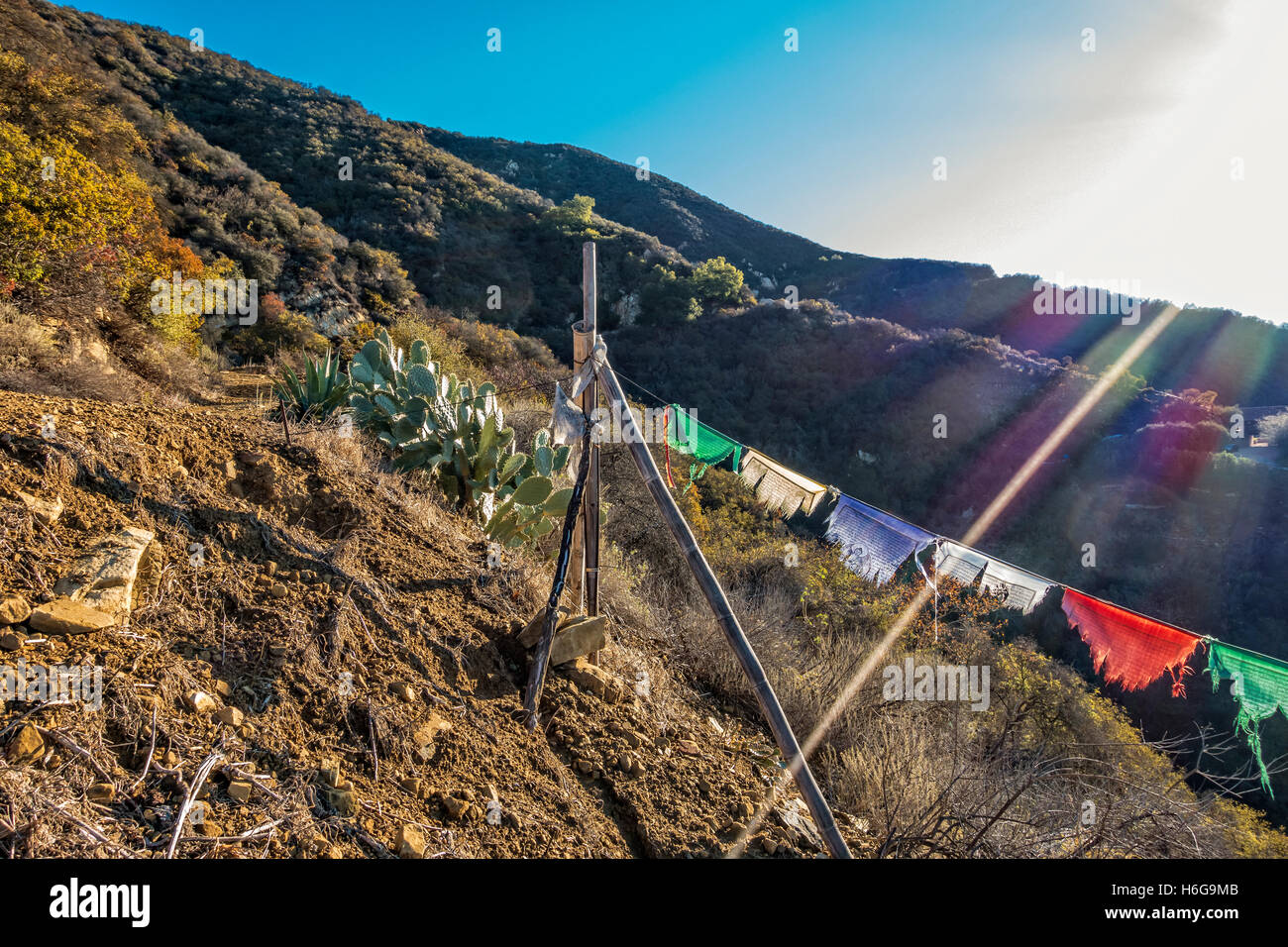 Prayer flags hanging on Romero Canyon Trail in Santa Barbara, California. Stock Photo