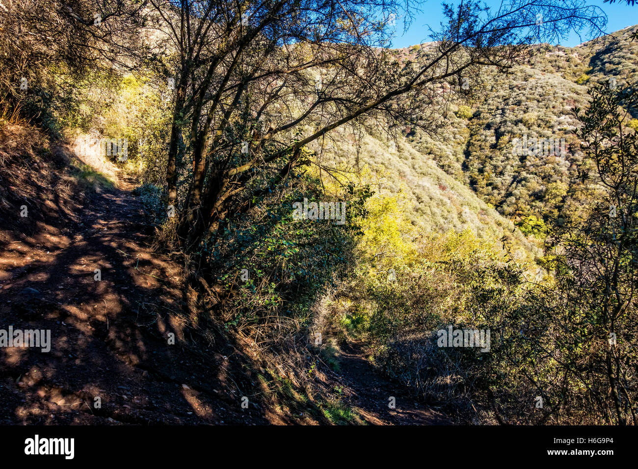 Switchback section of Romero Canyon Trail in Santa Barbara, California Stock Photo Alamy