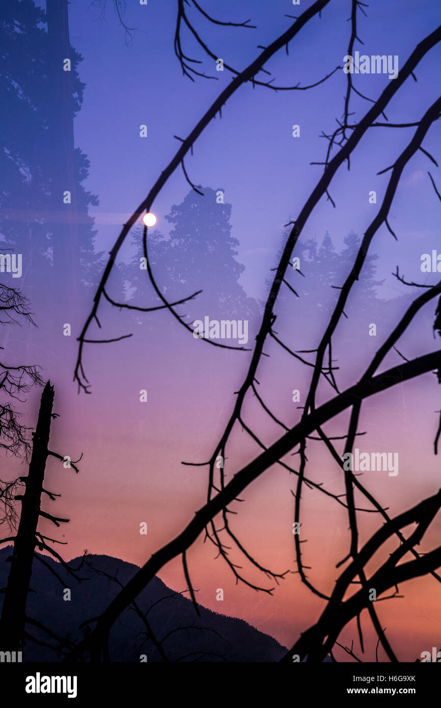 Colorful, Creative, Art images from the High Sierras of California. Stock Photo