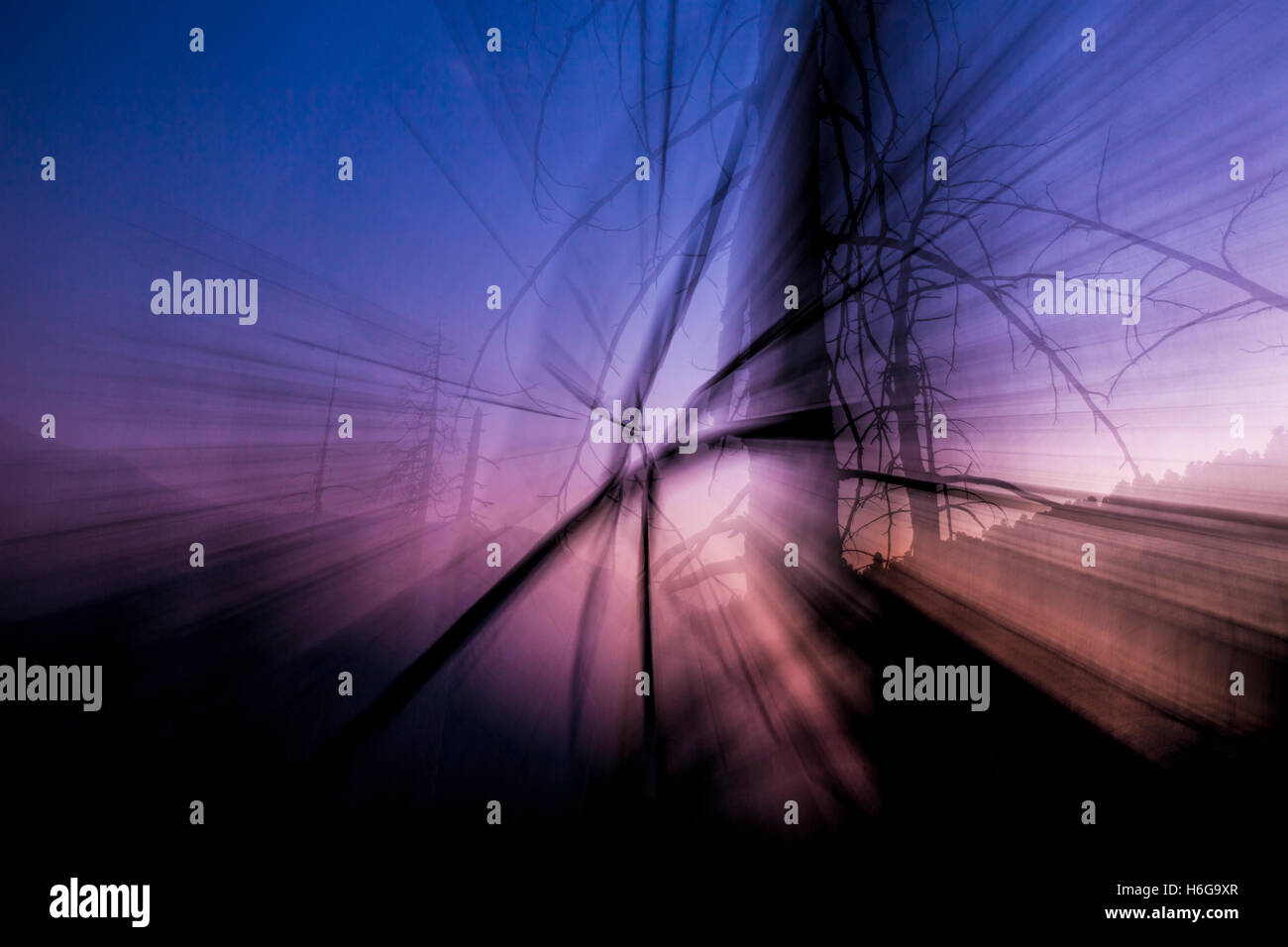 Colorful, Creative, Art images from the High Sierras of California. Stock Photo