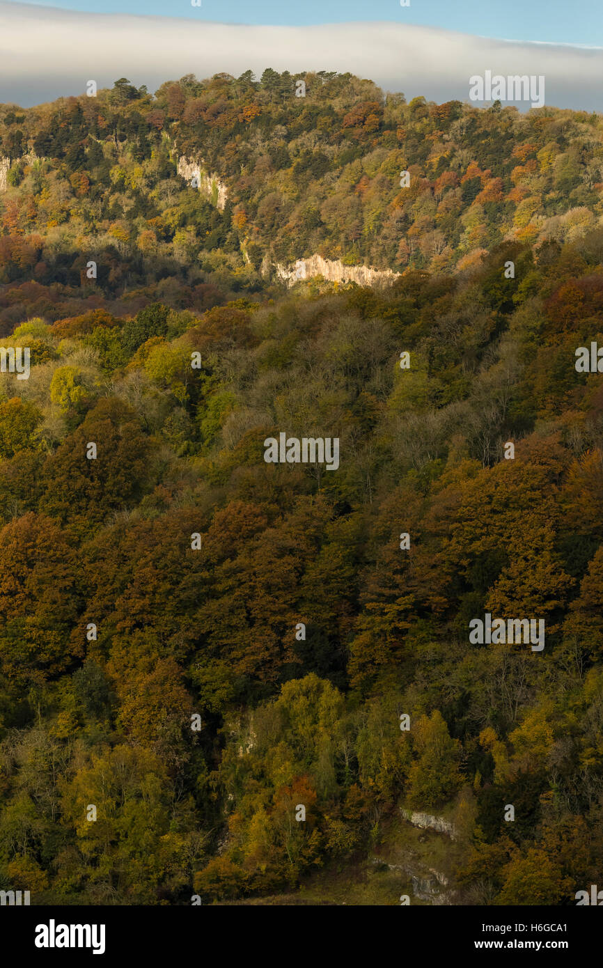 The River Wye from Wintours Leap. UK seasons Autumn in the Forest of Dean and Wye Valley Stock Photo