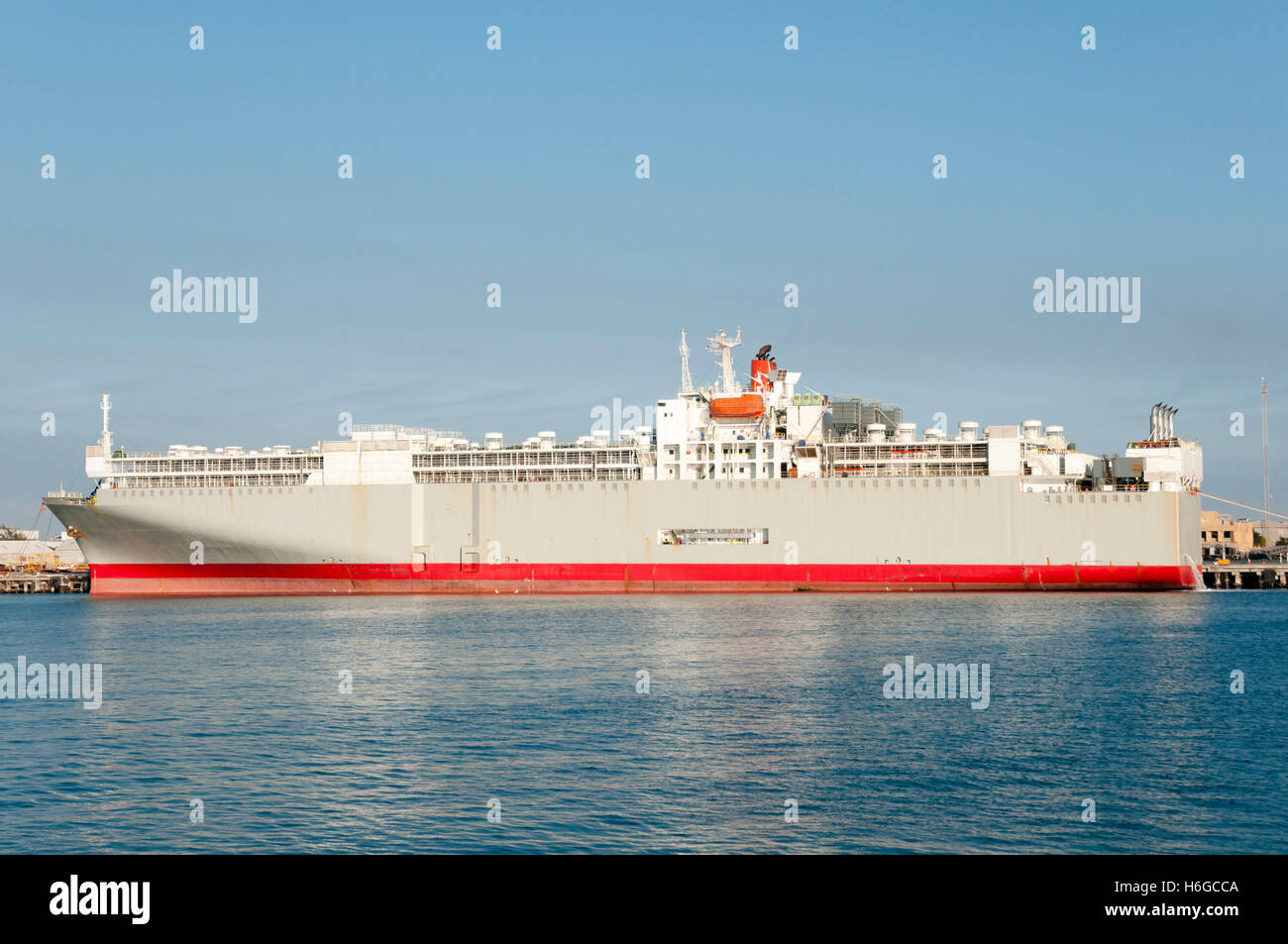 Australia livestock ship hires stock photography and images Alamy