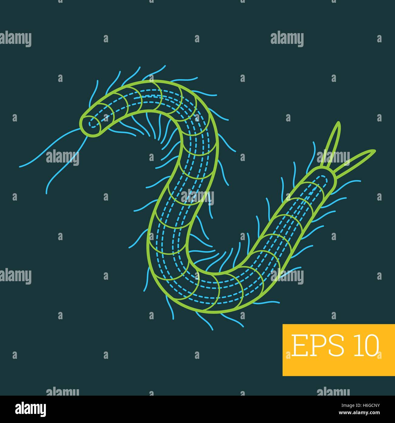 millipede insect outline vector Stock Vector