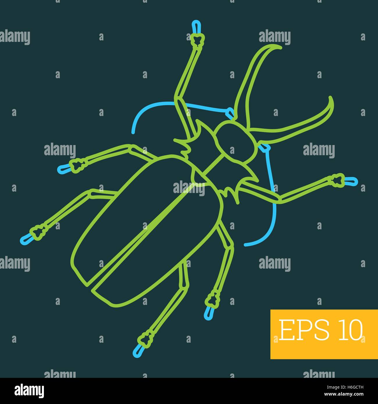 capnodis insect outline vector Stock Vector