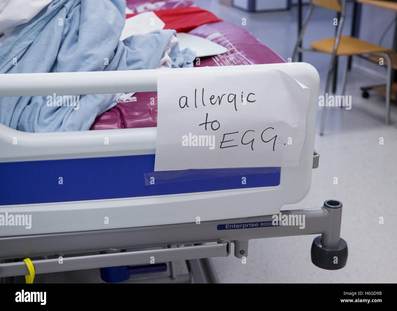 'Allergic to Egg' sign on patients' bed in hospital ward Stock Photo