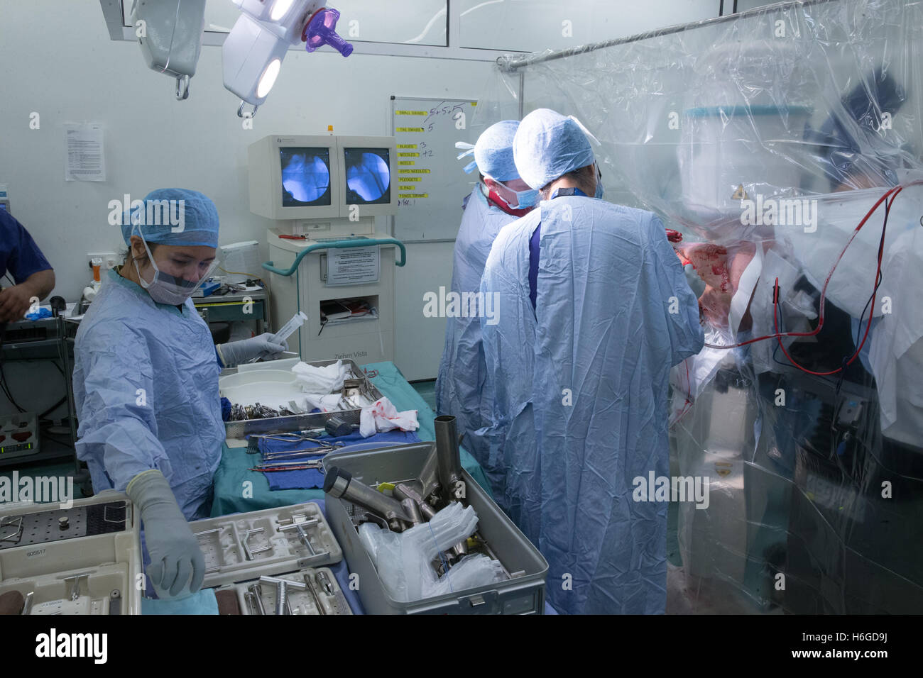 Medical staff in a hospital operating theatre during a hip replacement operation Stock Photo