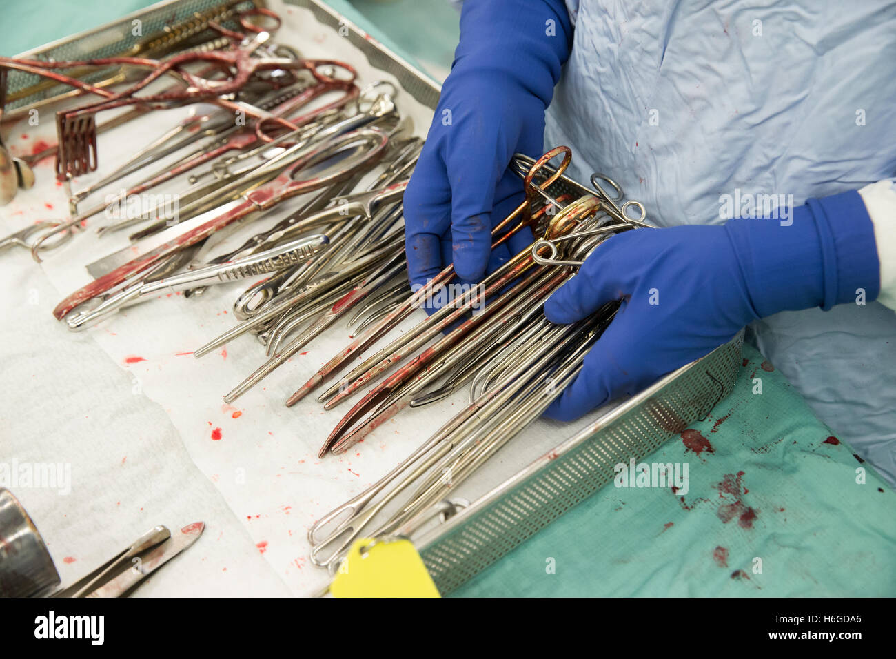 Technician's hand holds surgical instruments with blood-clamps,scalpels and scissors laid out in a tray in the operating theatre Stock Photo