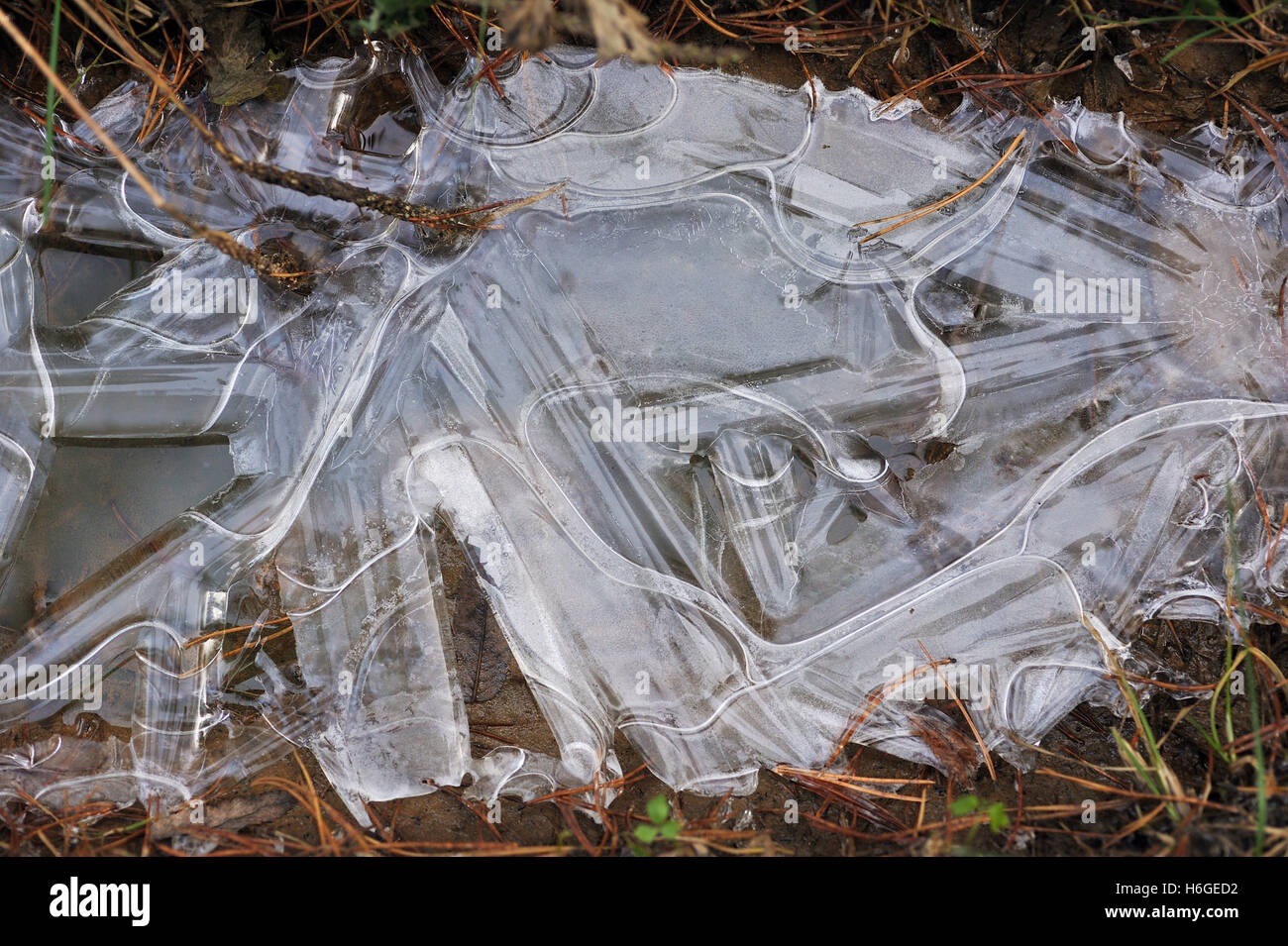 Frozen ground close up. Background Stock Photo Alamy