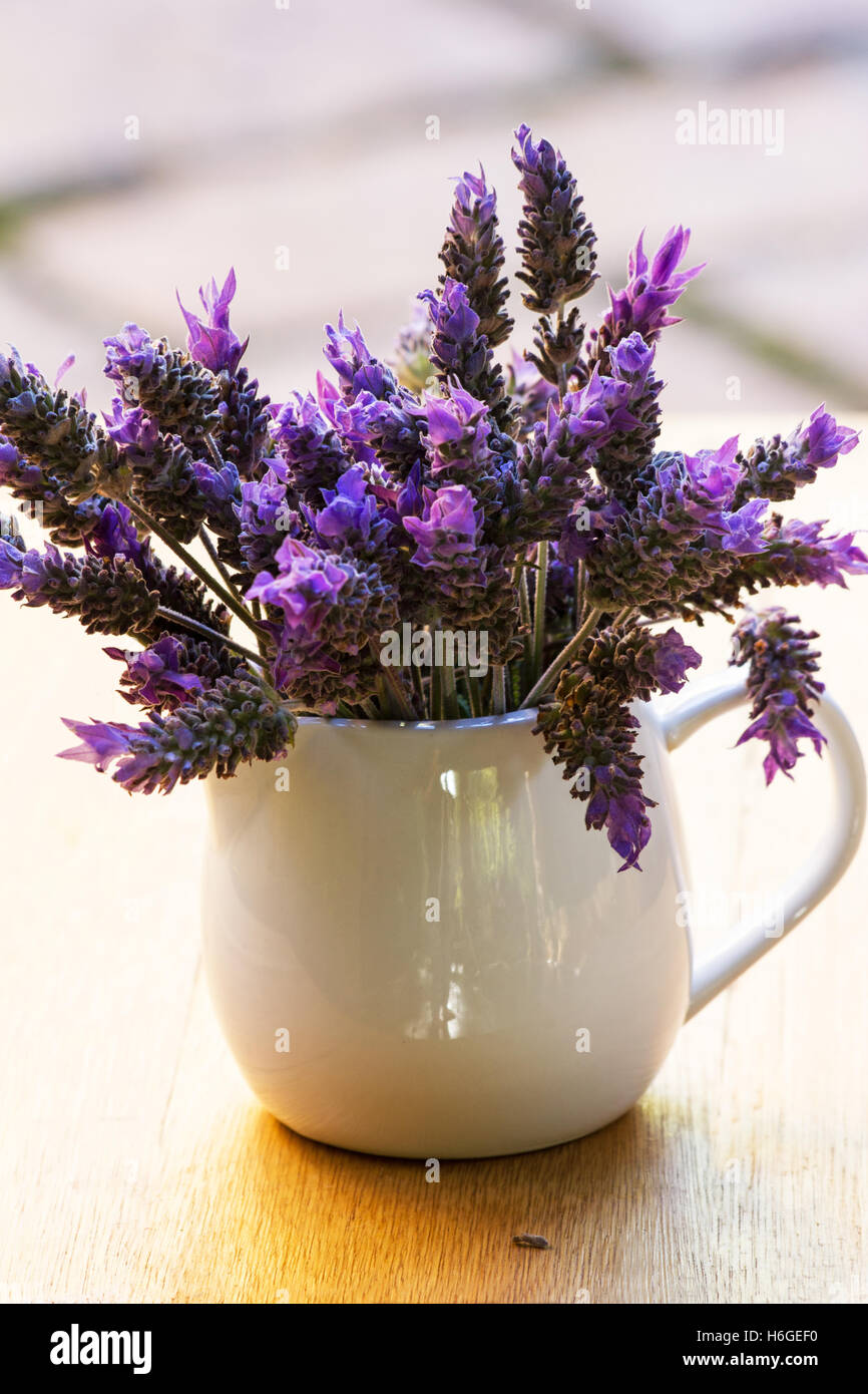 Lavender sprigs in a vase Stock Photo Alamy
