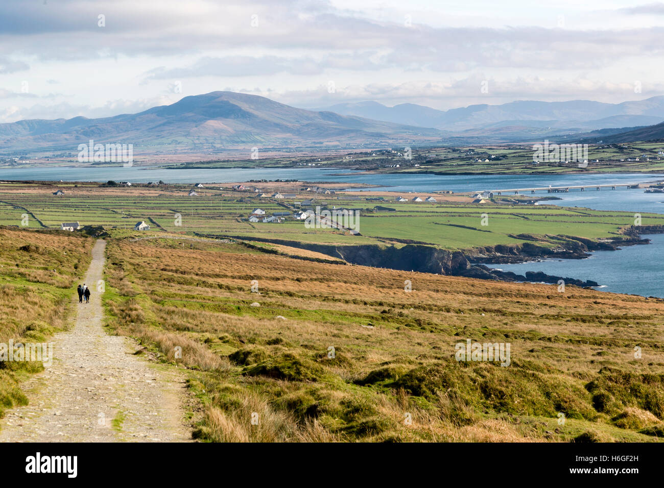 Bray Head Trail, Valentia Island, Skellig Ring, County Kerry Ireland Stock Photo