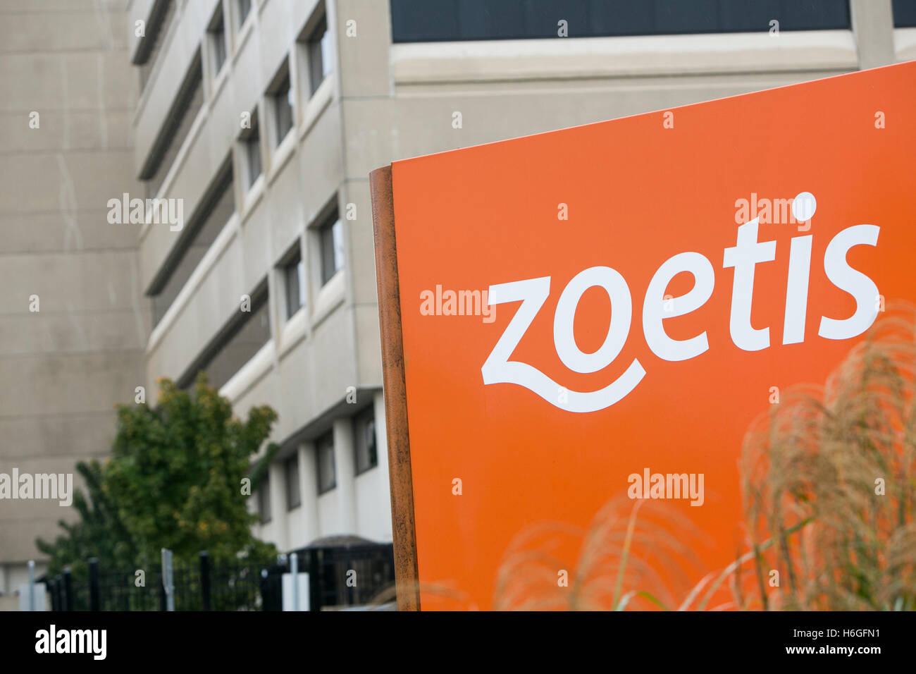 Zoetis hires stock photography and images Alamy