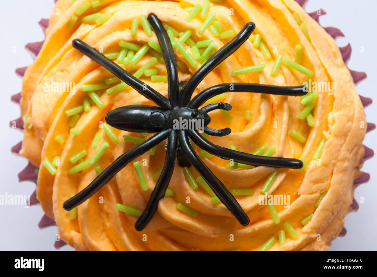 cupcake with spider decoration for Halloween isolated on white background Stock Photo