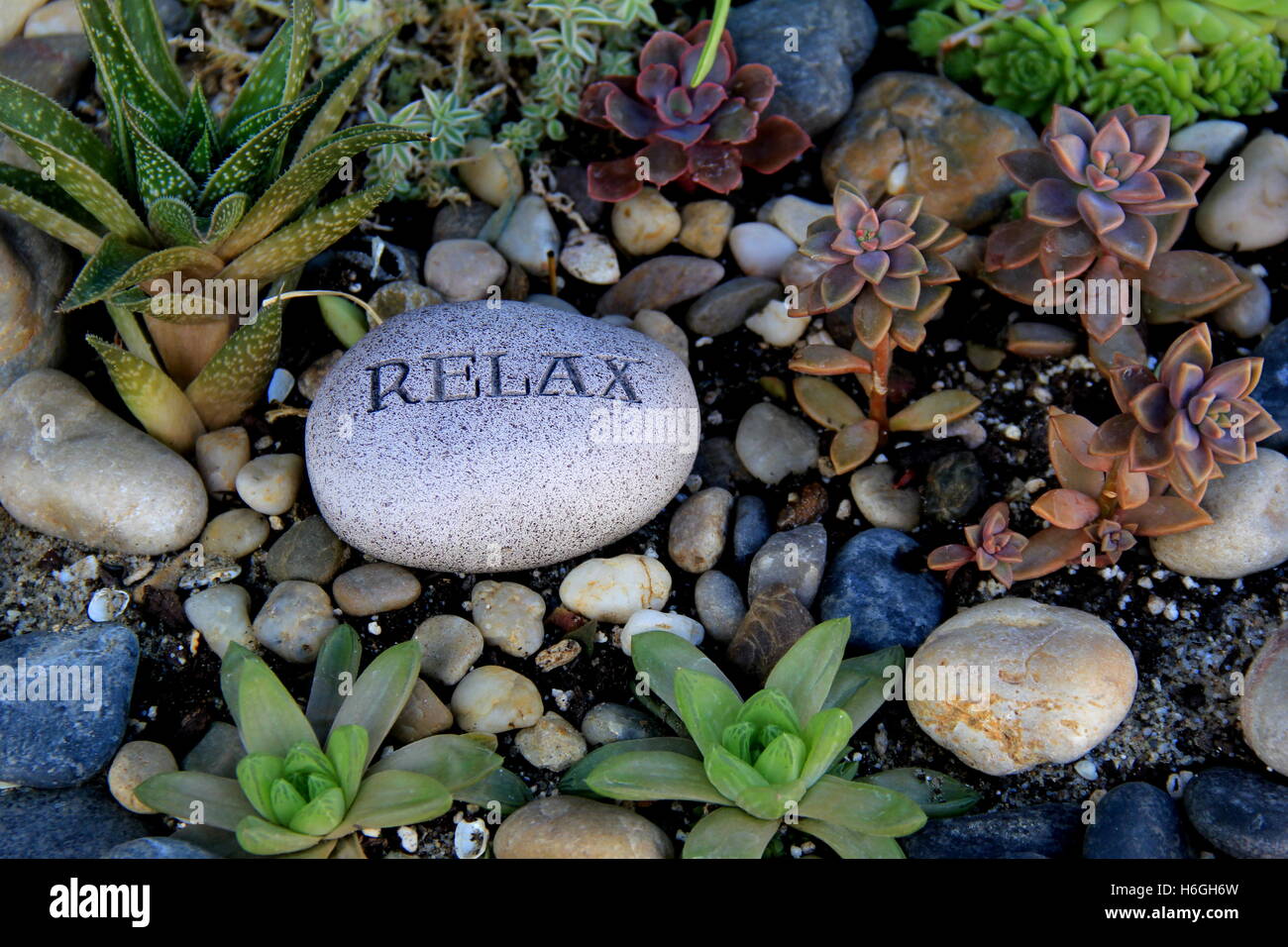 50+ painted rocks that look like succulents & cacti - I Love