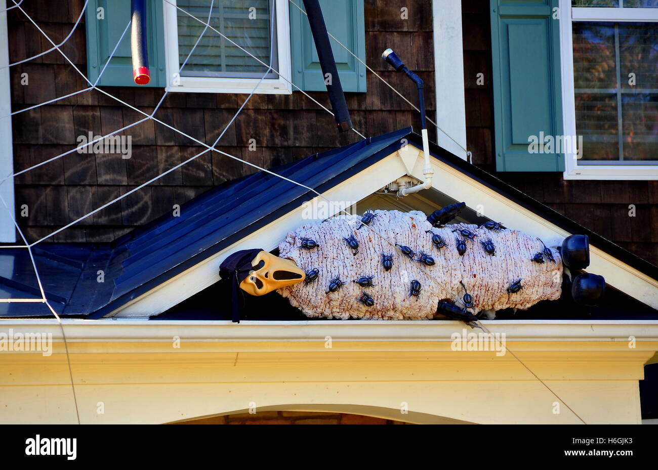 Chapel Hill, North Carolina - October 28, 2016:  Scary xorpse covered with insects hangs in a giant spider web decorating a home Stock Photo