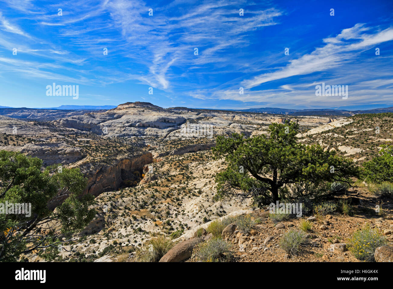 Grand Staircase-Escalante National Monument as seen from Scenic Byway 12 as it crosses Hogback Ridge near Escalante Utah USA Stock Photo