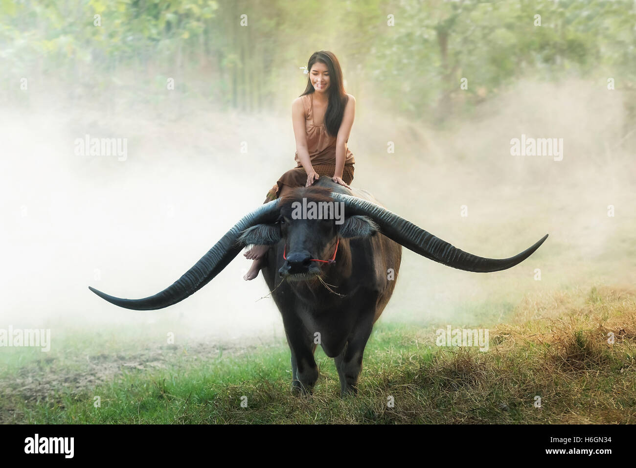 Portrait of beautiful young woman playing with buffalo outdoor, longhorn buffalo, Thailand Stock Photo