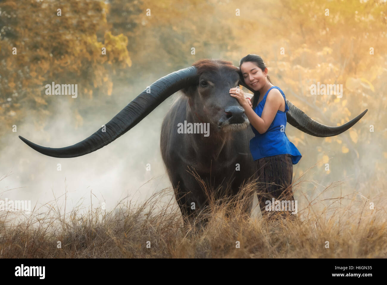 Portrait of beautiful young woman playing with buffalo outdoor, longhorn buffalo, Thailand Stock Photo