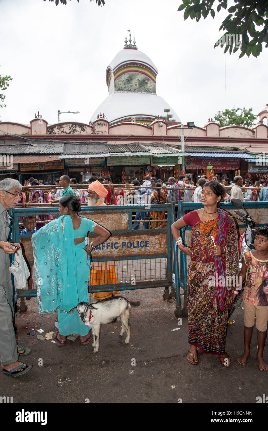 women buying a goat for sacrifice to goddess at Kali temple kali ...