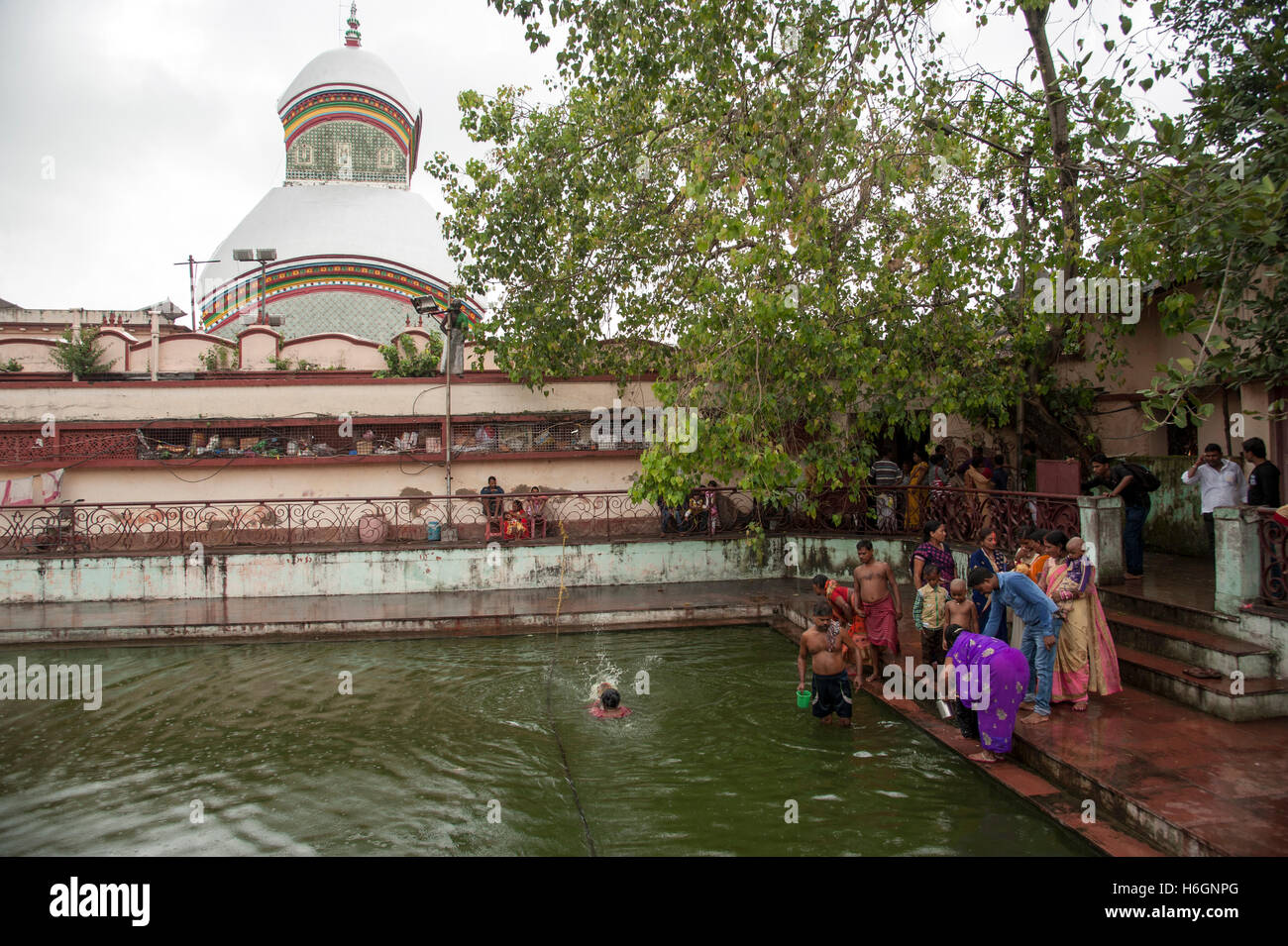 Pilgrims bathing in kali kund at Kali Temple  Kalighat  Kolkata West bengal India Stock Photo