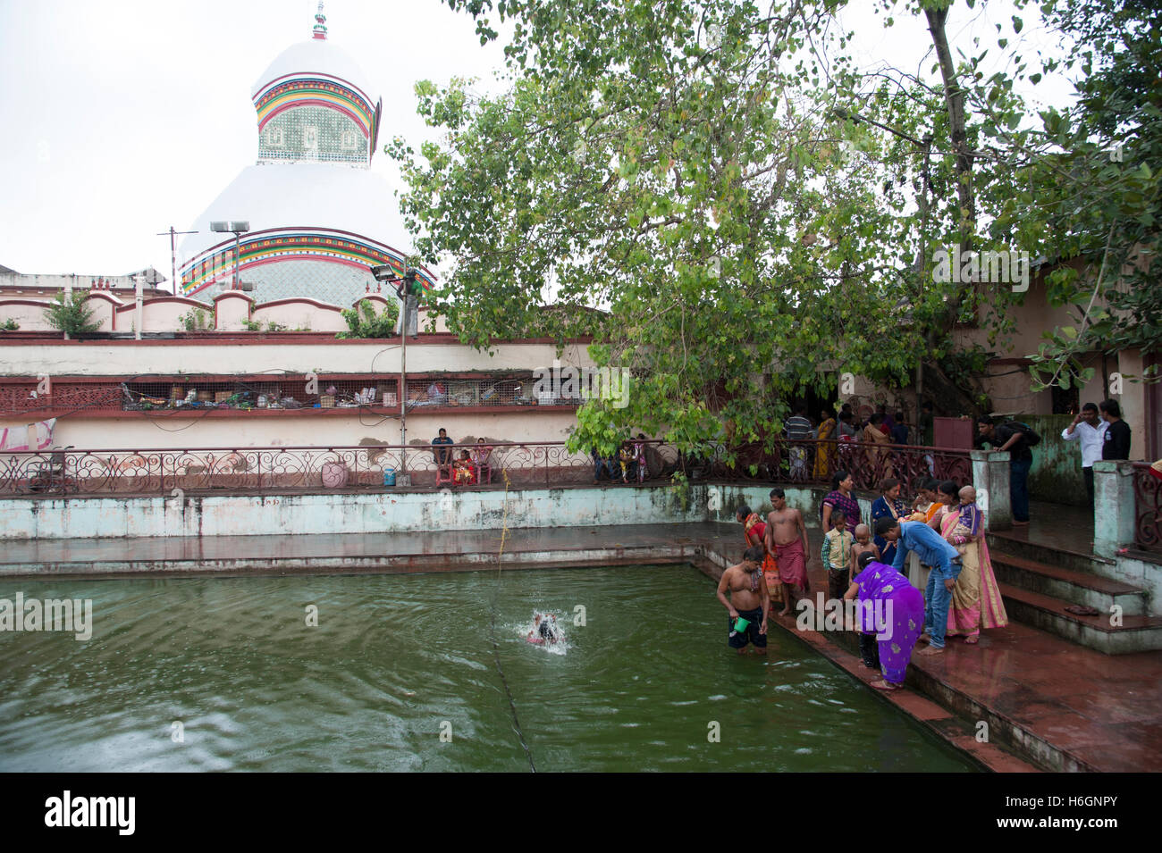 Pilgrims bathing in kali kund at Kali Temple  Kalighat  Kolkata West bengal India Stock Photo
