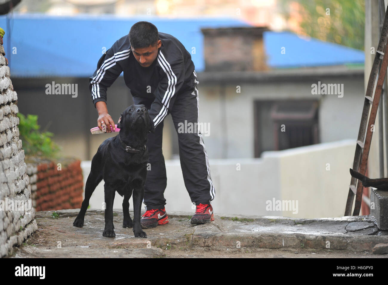 Kathmandu, Nepal. 29th Oct, 2016. Nepal police officer cleans their
