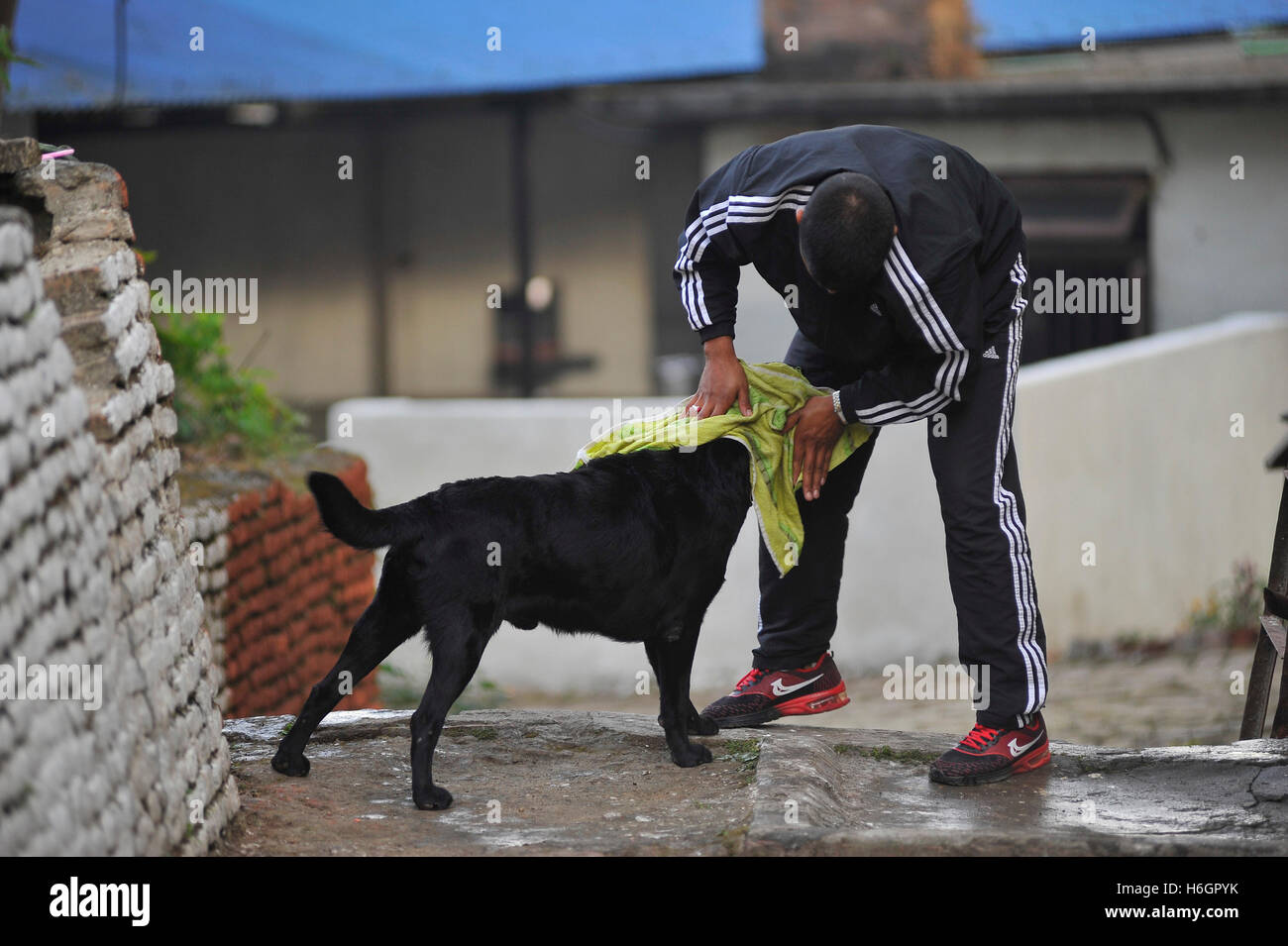 Nepal police dog hires stock photography and images Alamy