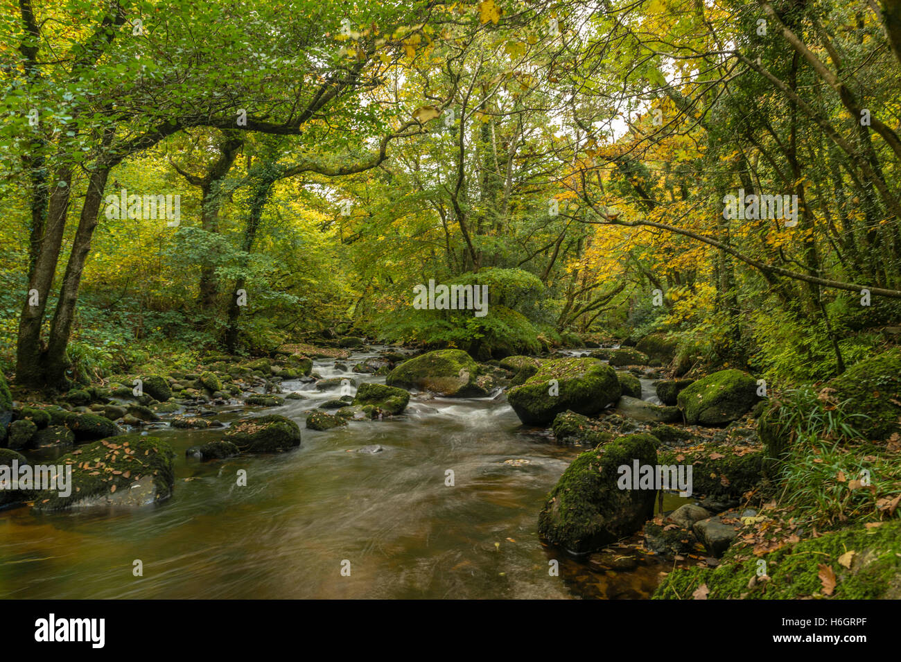 Landscape depicting the beautiful meandering river Teign, Devon on a ...