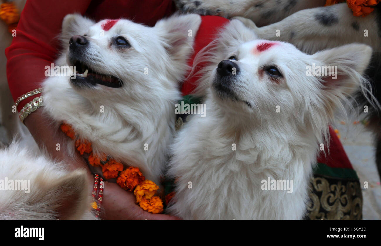 Hindu worshiped goddess laxmi hi-res stock photography and images - Alamy