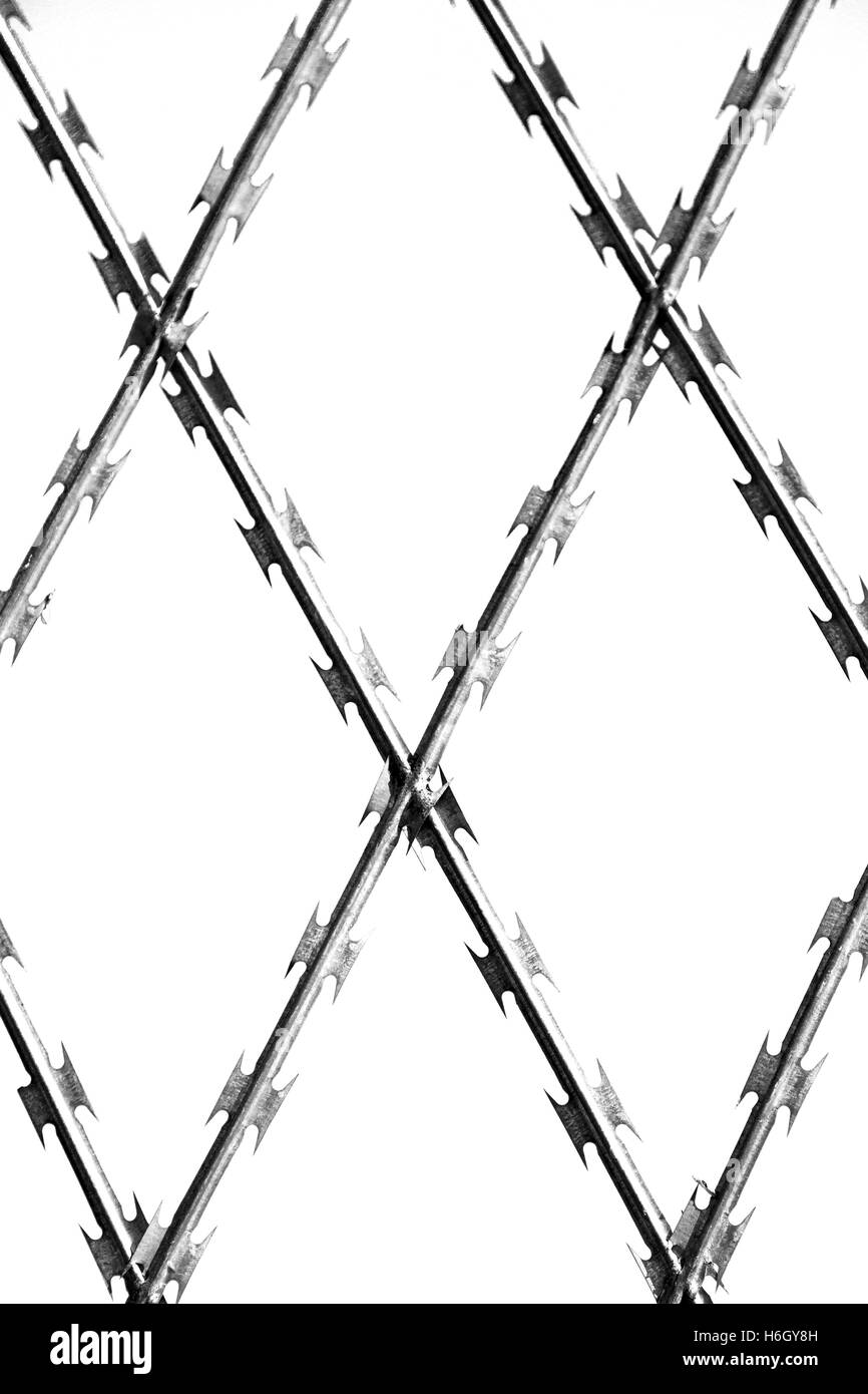 abstract razor wire in the clear sky like background texture Stock Photo
