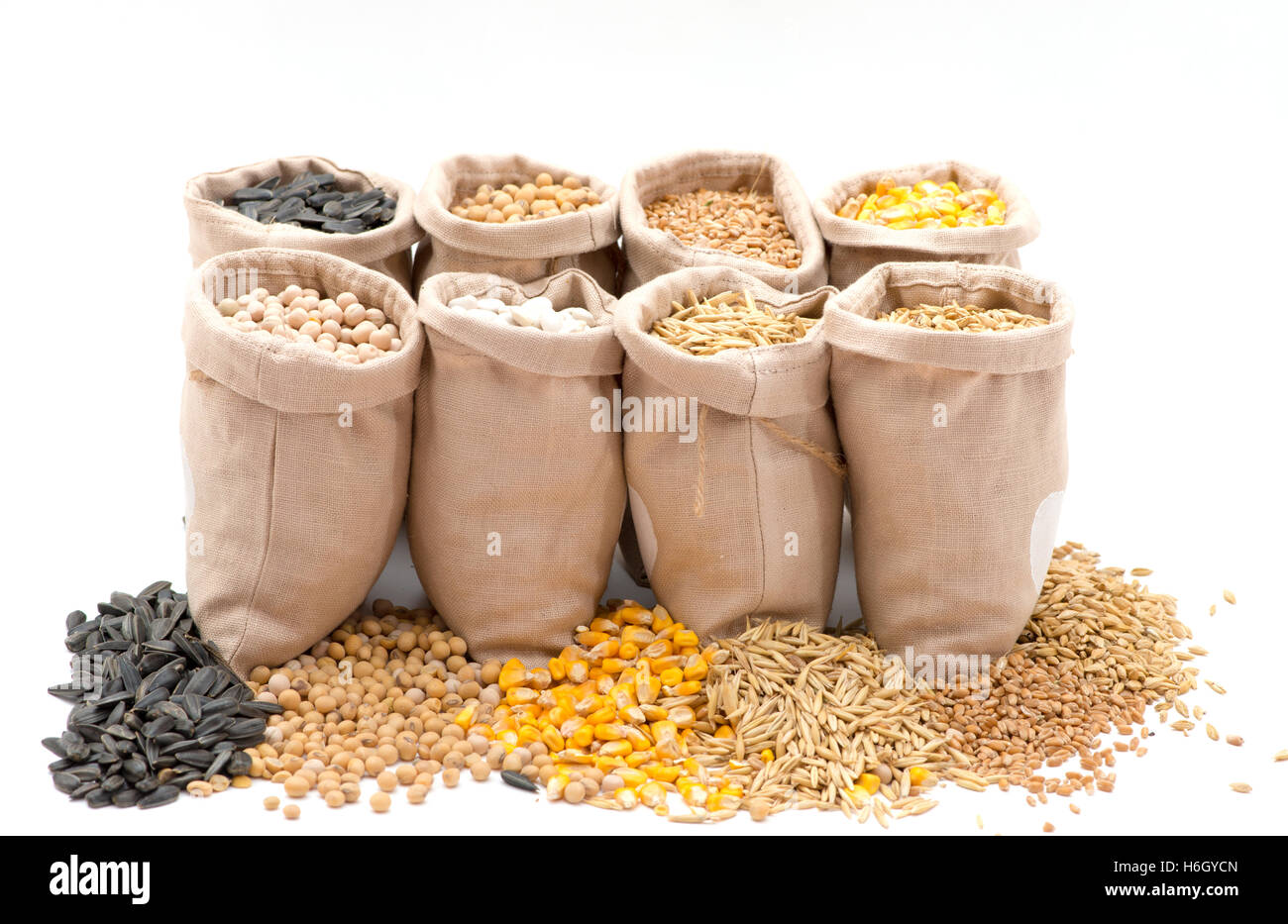 bags with cereal grains (oat, barley, wheat, corn, beans, peas, soy