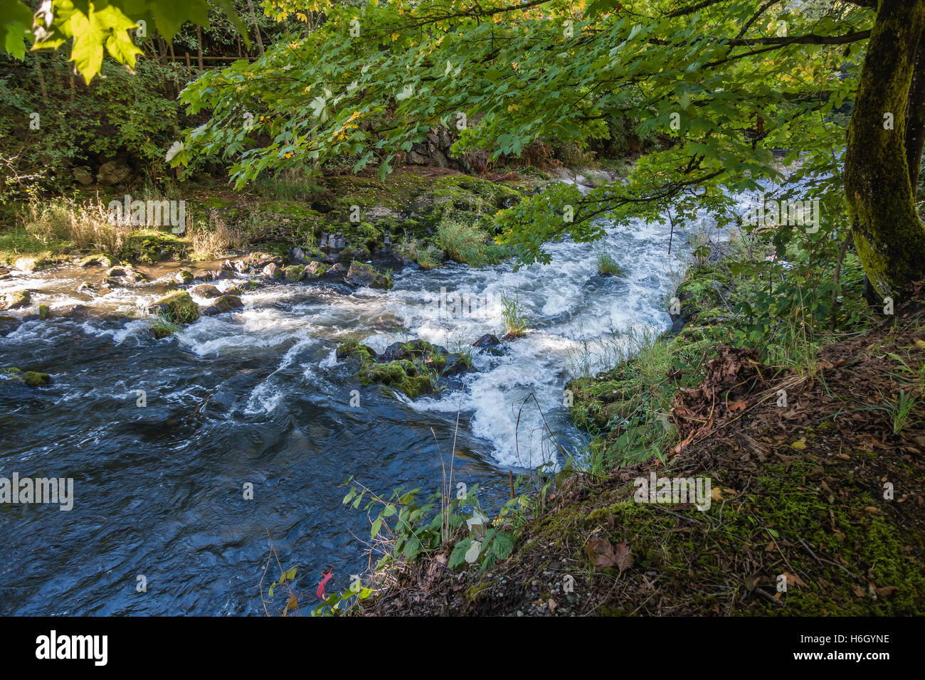 Tumwater washington state hires stock photography and images Alamy