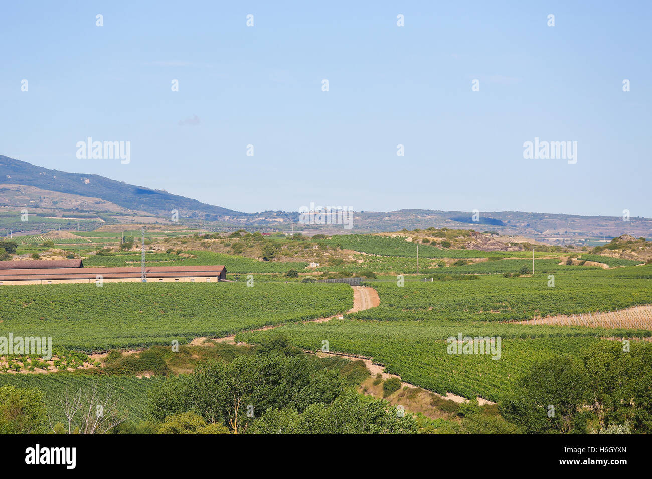 View on the vineyards of the Rioja Alta wine region near Haro, La Rioja, Spain Stock Photo