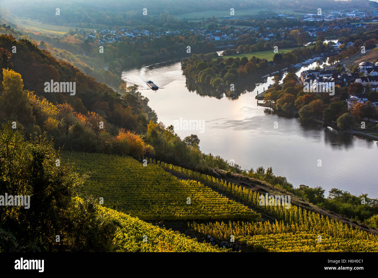 River Moselle, in the Moselle valley, Germany, near Bernkastel-Kues, river freight ship, Stock Photo