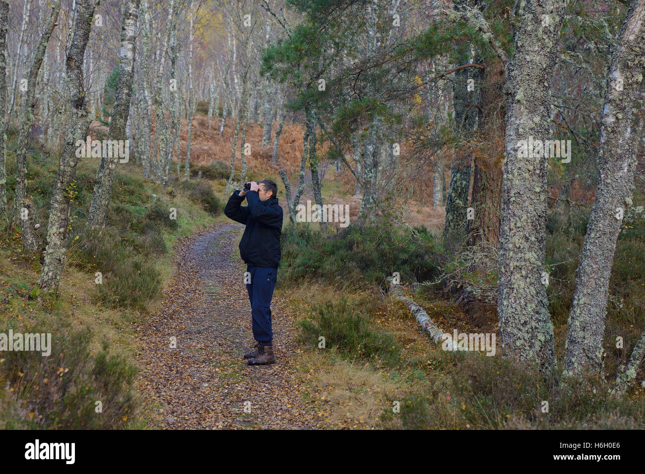Birdwatching in the Muir of Dinnet National Nature Reserve Cairngorms National Park Aberdeenshire Scotland Stock Photo