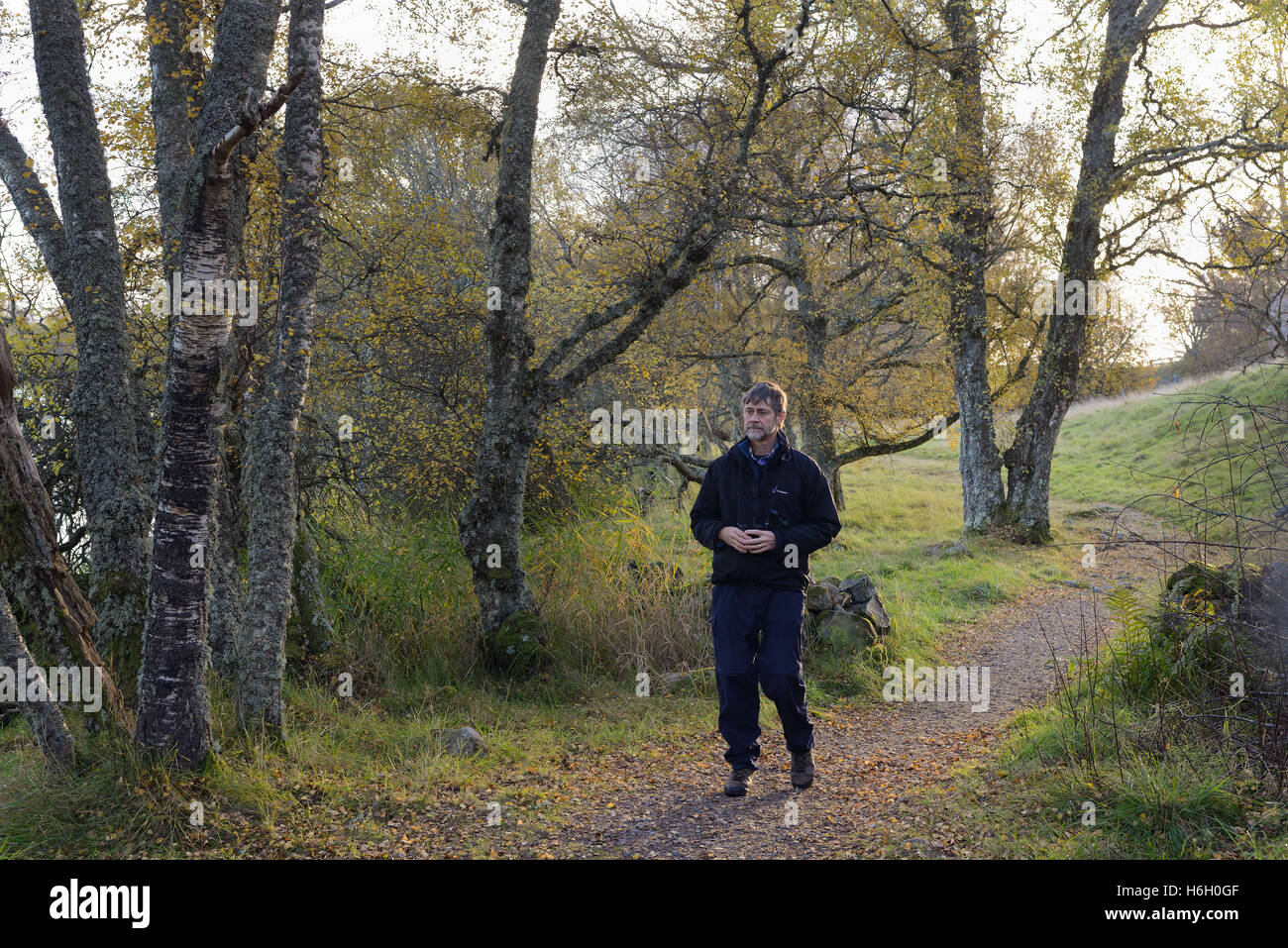 Walker  in the Muir of Dinnet National Nature Reserve Cairngorms National Park Aberdeenshire Scotland Stock Photo