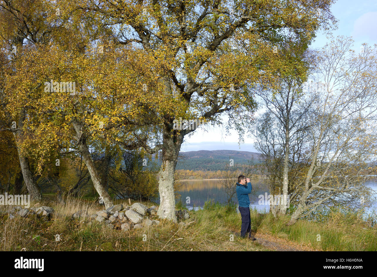 Loch Kinord and the  Muir of Dinnet National Nature Reserve Cairngorms National Park Aberdeenshire Scotland Stock Photo
