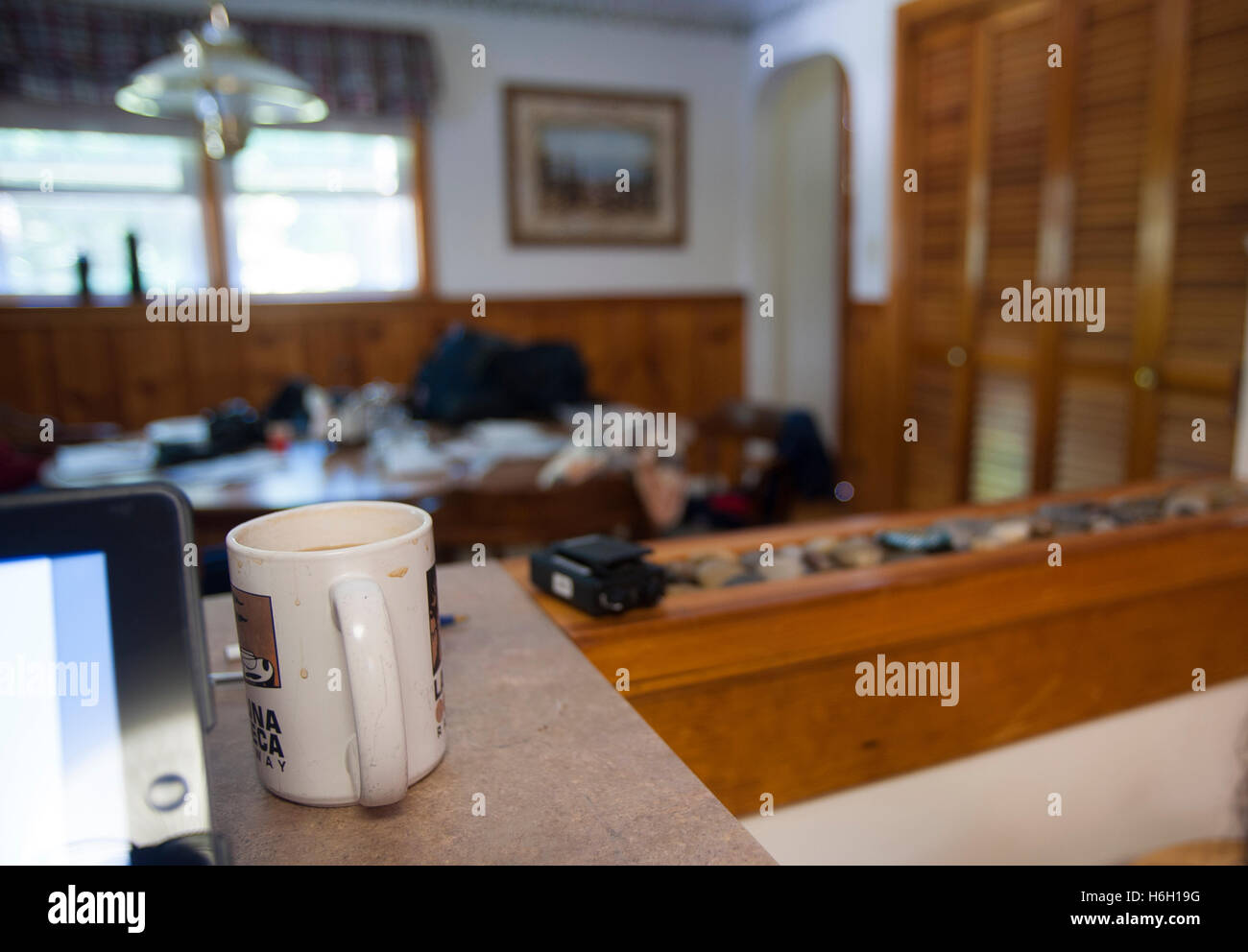 An almost full coffee mug sits a counter in a kitchen in a very typical home scene. Stock Photo