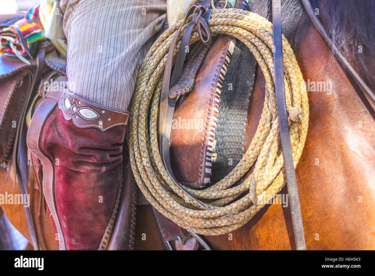 Mexican Cowboy on a horse Stock Photo