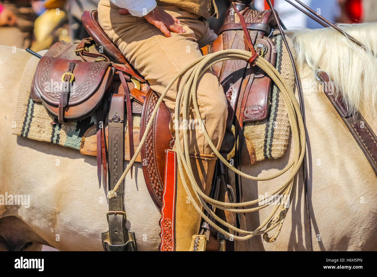Cowboy on a horse Stock Photo