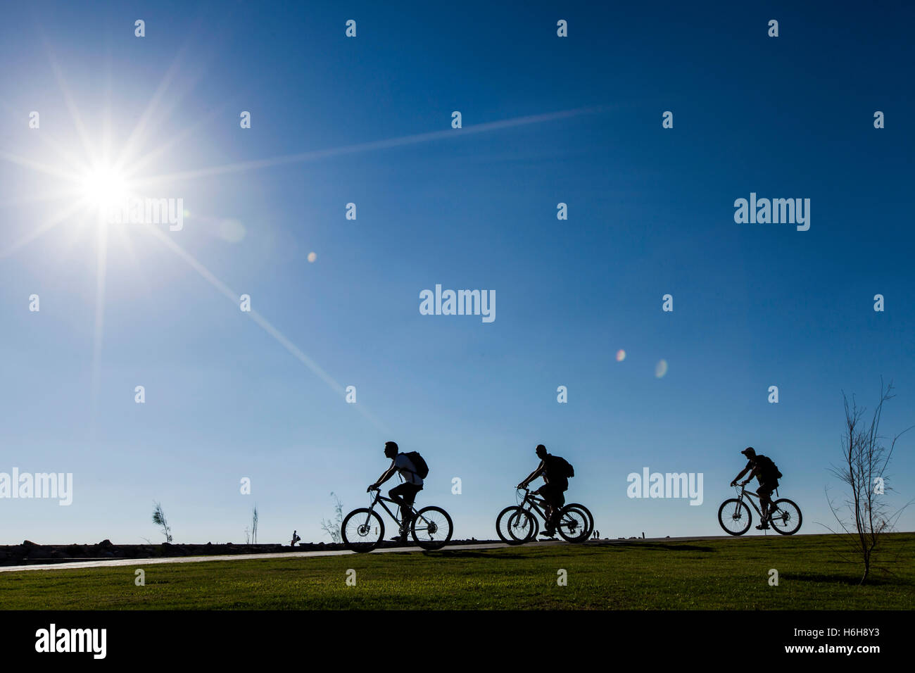 Silhouette of cyclers passing on a park path on a clear summer day, afternoon sun shining. Stock Photo