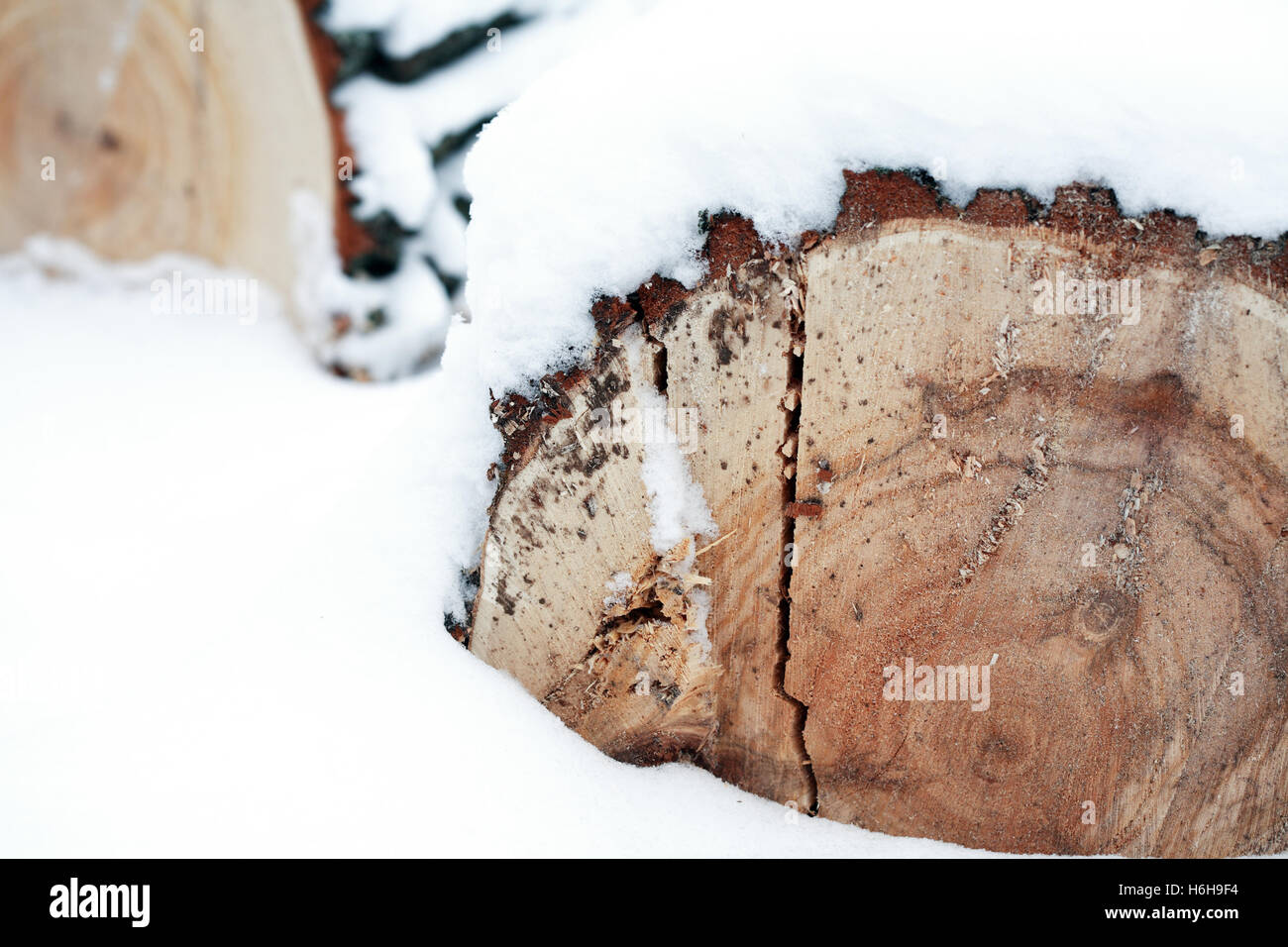 Closeup of converted timber under snow. Nice background Stock Photo - Alamy