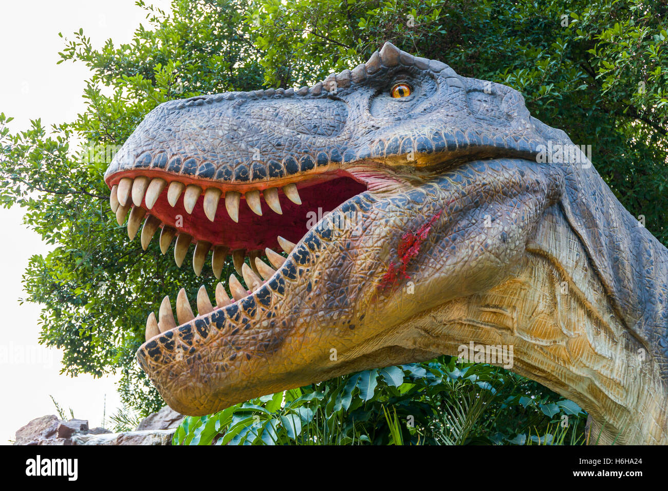 T rex dinosaur hi-res stock photography and images - Alamy