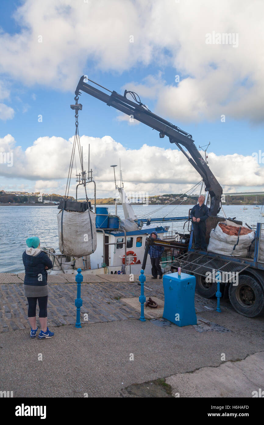Fishing boat crew landing catch at Hobbs Point, Pembroke Dock, Wales