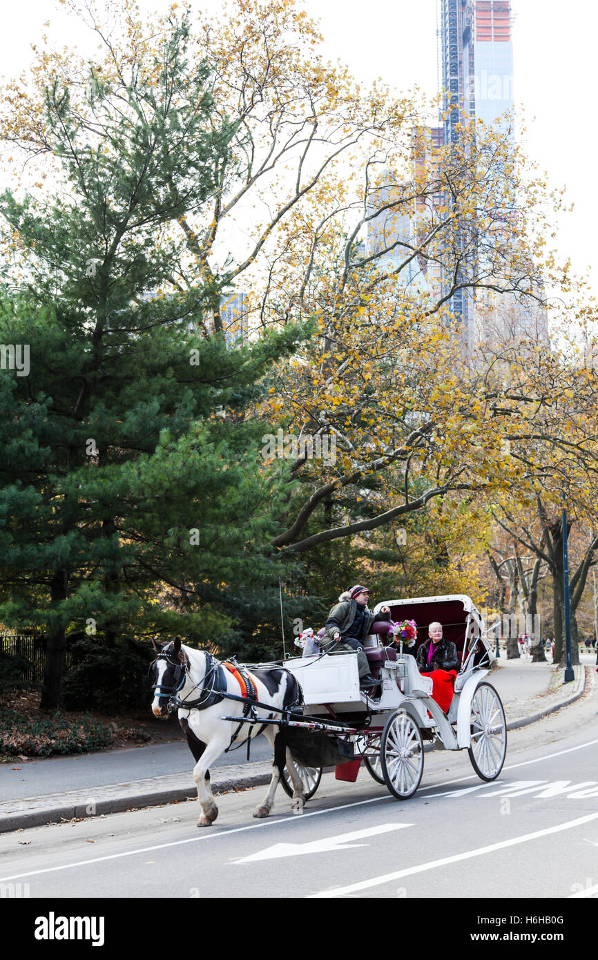 New-York, USA - NOV 19: Tourist horse carriage on a Central Park road on November 19, 2012 in New-York, USA. Stock Photo