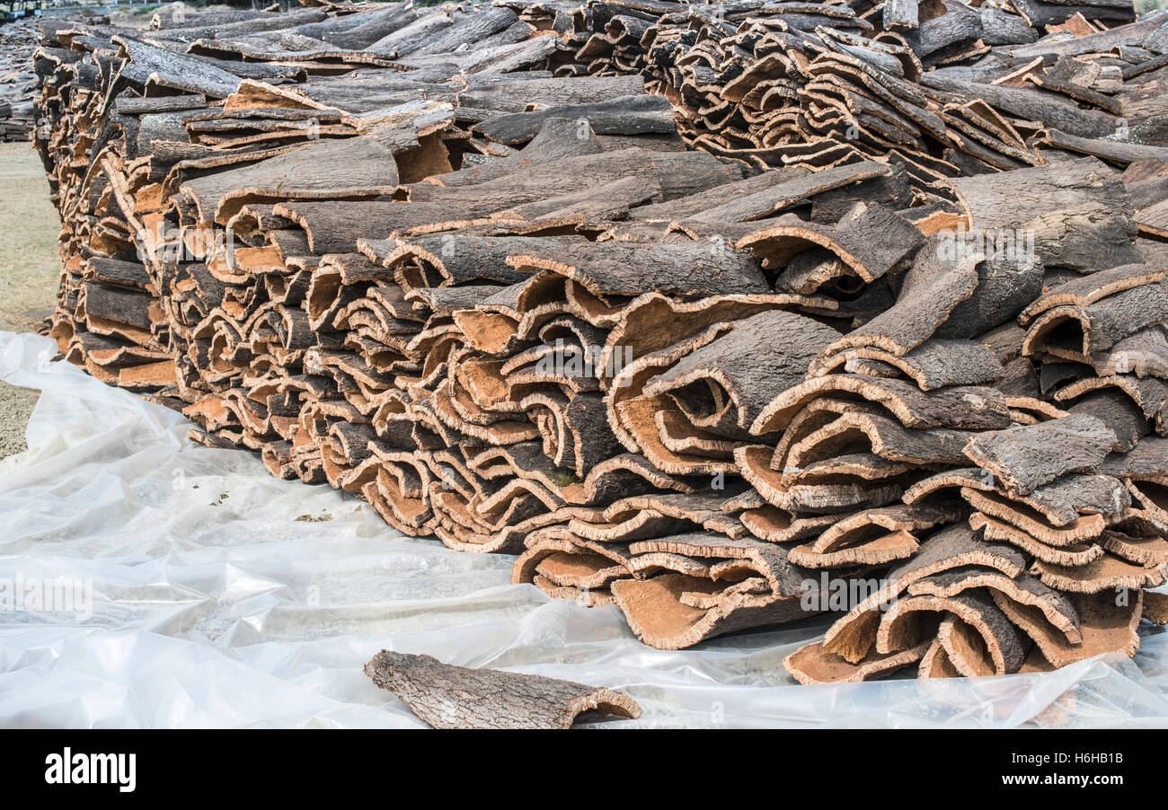 Pile of bark from cork tree Stock Photo